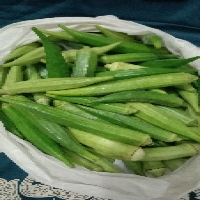 sayur okra